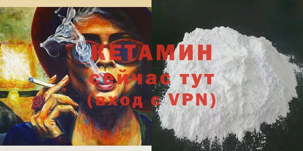 крисы Абаза